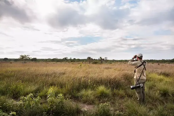 A man looking for birds in a field in Brazil.