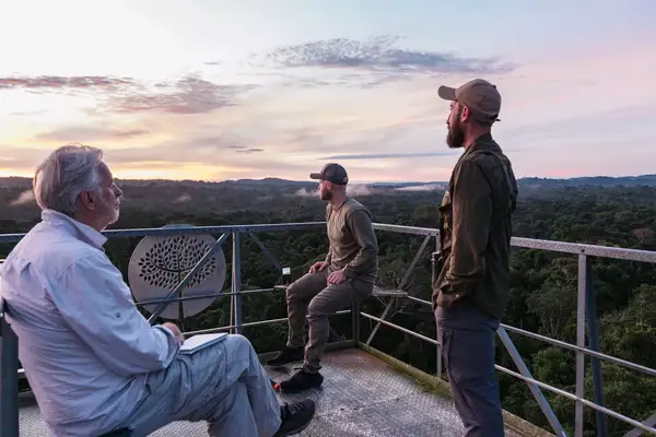A group of people looking for wildlife from an observation deck in Brazil.