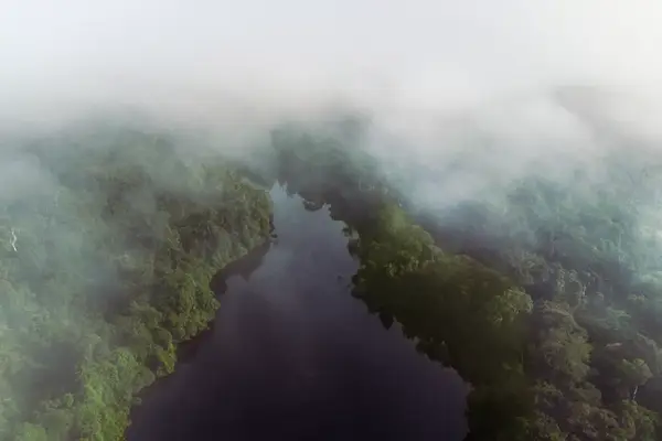 The Cristalino river in Brazil.