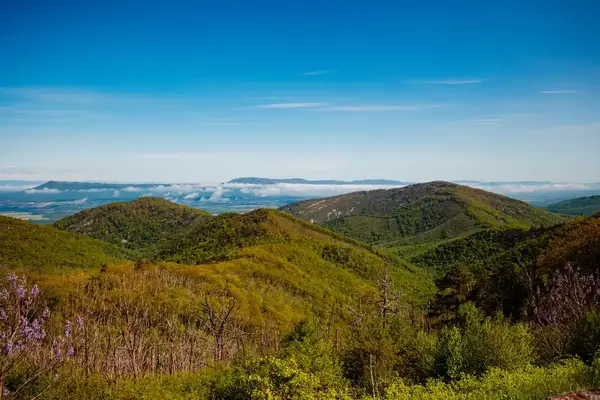 A scenic landscape of rolling green hills in Shenandoah National Park with a view of the distant valley and partially cloudy sky