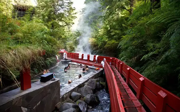 Cabana of the Termas Geometricas, Panguipulli, Region de Los Rios, Chile