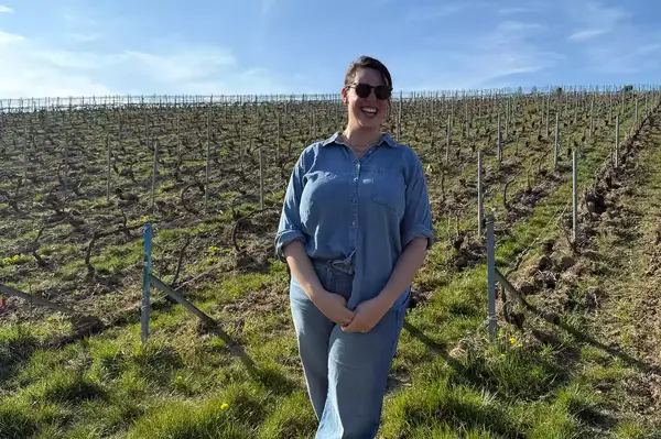 Person standing in a vineyard on a sunny day, surrounded by rows of grapevines