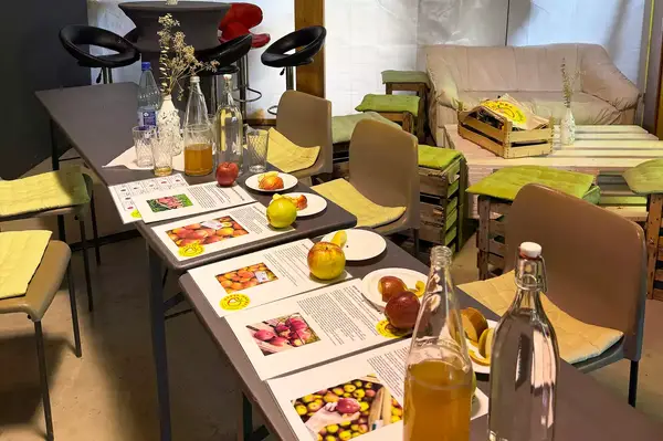 A table with documents, fruits, and bottles displayed, suggesting a setup for a presentation or discussion