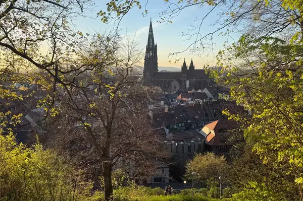 View of Freiburg im Breisgau with prominent cathedral in the distance framed by trees