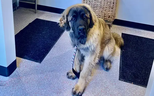 Best Friends Roadhouse and Mercantile