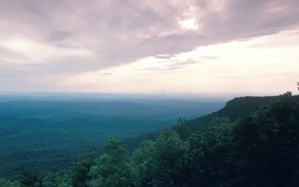 Green trees line the side of Mt. Cheaha in Alabama