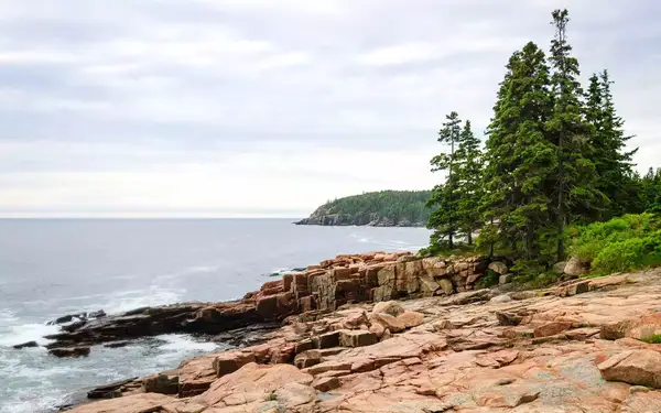 Waves crash against a rocky, pine-studded shore on Maine