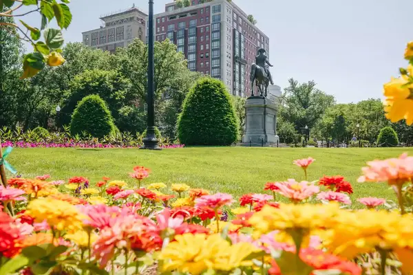 View of flowers and statue in Boston Public Gardens