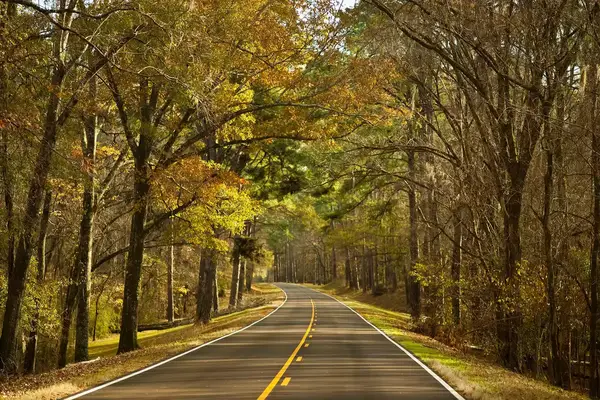 Road down the Natchez Trace Parkway in fall