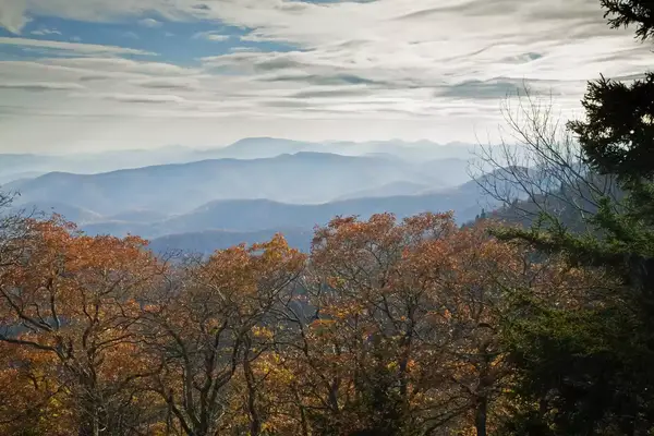 Fall foliage is seen in the foreground of a series of rolling Blue Ridge Mountain peaks in North Carolina
