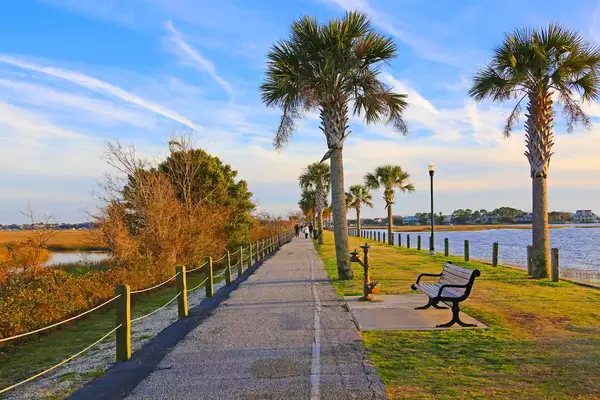 A walking trail cuts through the center of the Pitt Street Bridge Park in South Carolina, jutting forward across the water on a long stretch of land interspersed with palm trees and benches.