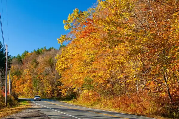 A car driving along Route 100 in Vermont during fall 