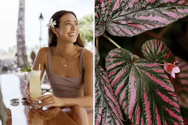 Pair of photos from Hawaii, one showing a women with a cocktail, and one showing begonia leaves