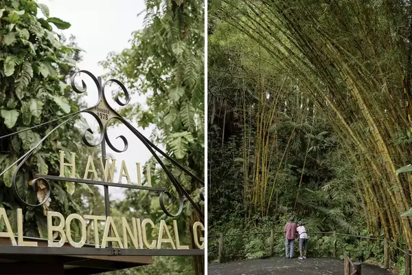 Pair of photos from the Hawaii Tropical Botanical Gardens, one showing a sign, and one showing a couple standing in a bamboo grove