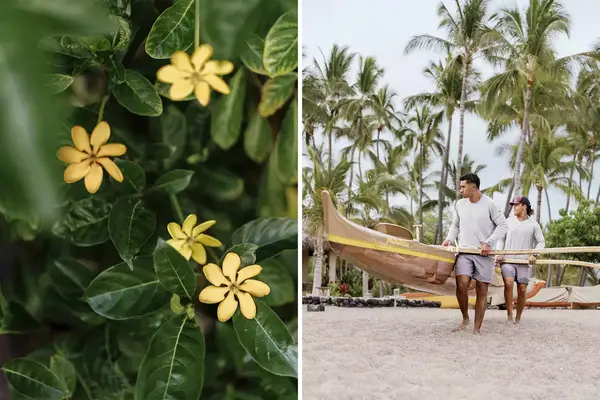 Pair of photos from Kona VIllage resort, one showing yellow flowers, and one showing two men carrying a canoe