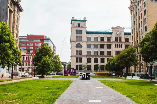 Park in the middle of large buildings