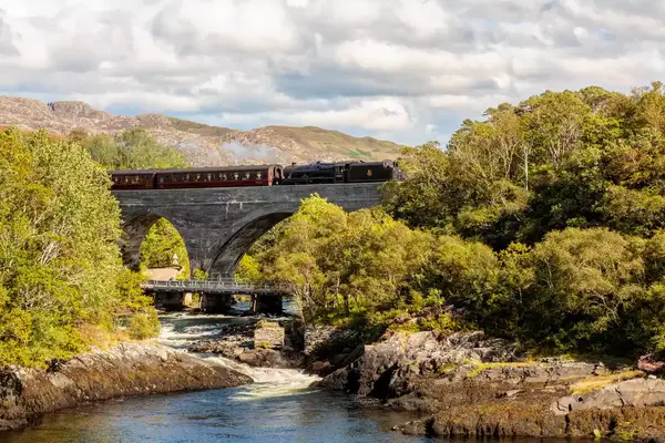A train on a bridge over a river