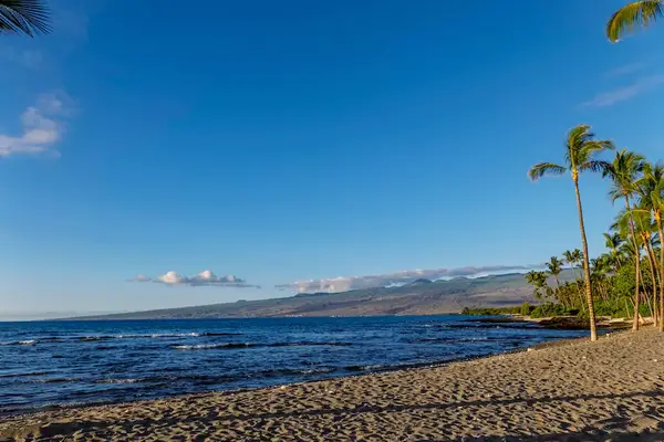 A quiet beach with palm trees