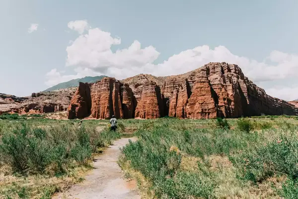 A landscape featuring striking rock formations and lush vegetation with a path leading through the scene