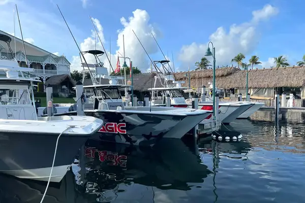 Boats in a marina in Florida Keys