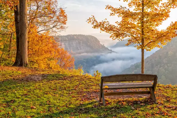 A bench overlooking a Letchworth State Park during fall