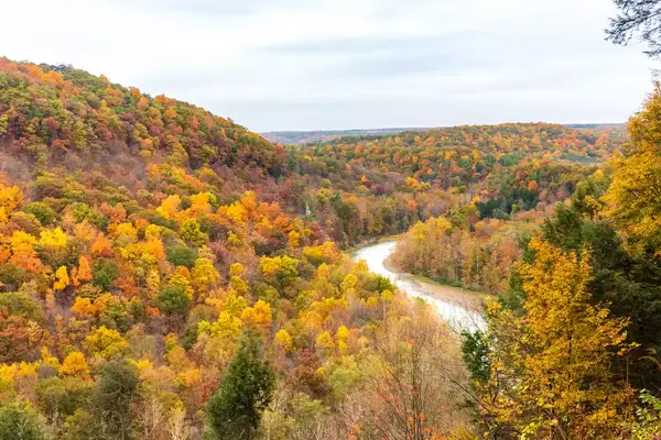 Fall foliage, Autumn Leaves, Fall At Letchworth State Park 