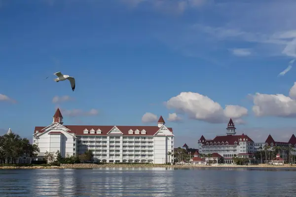 Bird flying over water in front of Disney