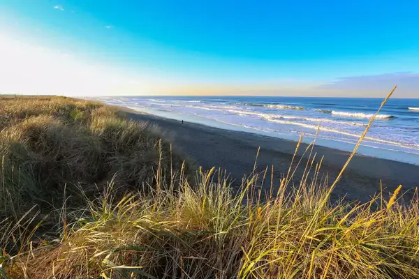 Beach in Westport, Washington