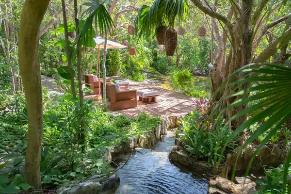 Sernse Spa Cenote deck at Rosewood Mayakoba