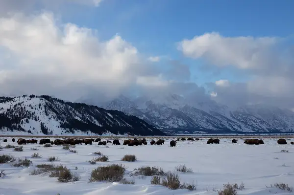 Grand Teton National Park, Wyoming