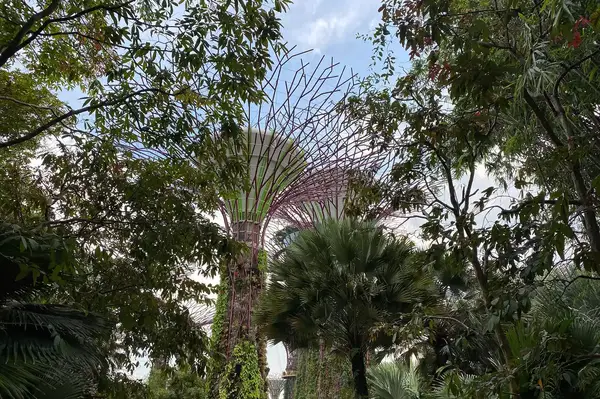 Gardens by the Bay in Singapore