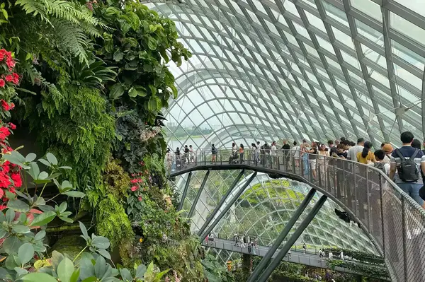Cloud Forest Dome in Singapore 