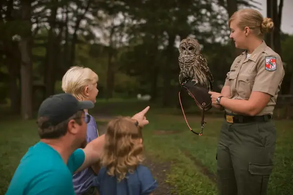 A family meeting an owl 