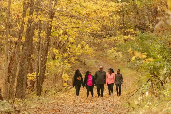 A family walking through the forest