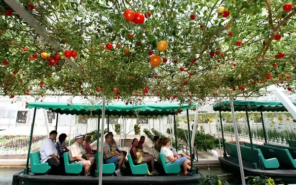 Every Walt Disney World Ride Ranked