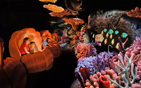 Every Walt Disney World Ride Ranked