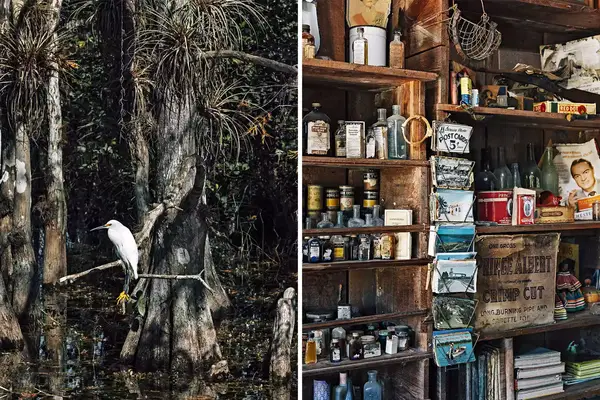Pair of photos from Florida, one showing a snowy egret and one showing gods on display in a museum 