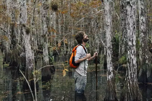 A man with an orange backpack in a Florida swamp