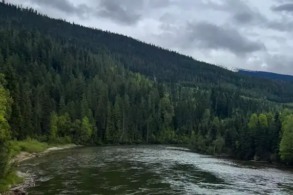 A river in Jasper National Park 