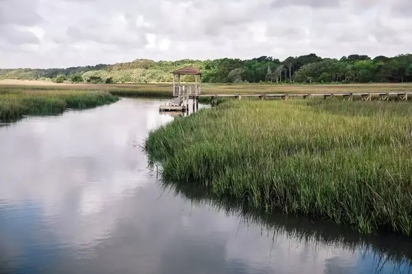Marsh in Edisto Island, South Carolina