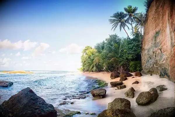A beautiful secluded white sand beach on Atlantic side of Dominica, Eastern Caribbean.