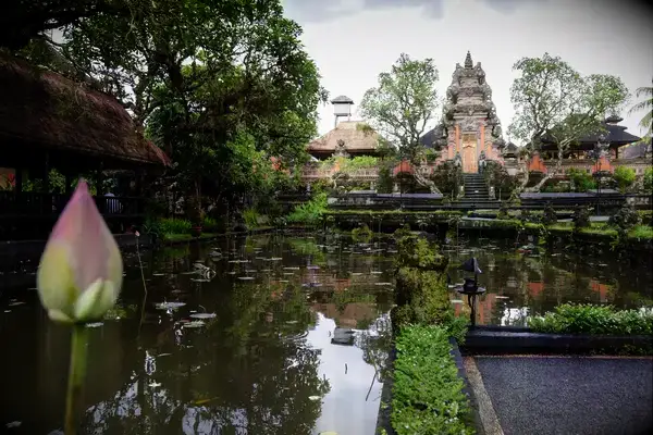 Lotus pond leading to a temple with a stone facade, trees surrounding the area, an architectural landmark in an urban center