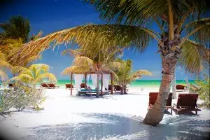 Beach beds among palm trees at perfect tropical coast on Holbox island in Mexico