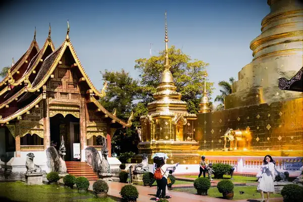 Wat Phra Singh temple complex in Chiang Mai with golden stupa and traditional Lanna architecture, visitors walking on the grounds