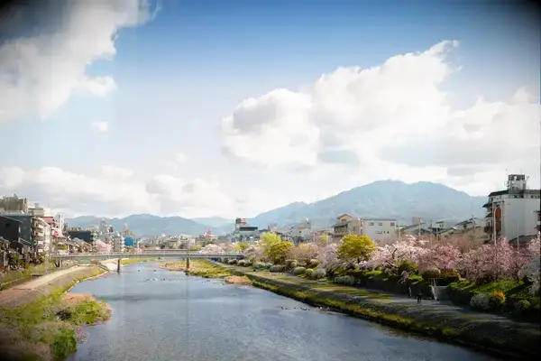 Pontocho street and Kamo river at spring in Kyoto, Japan