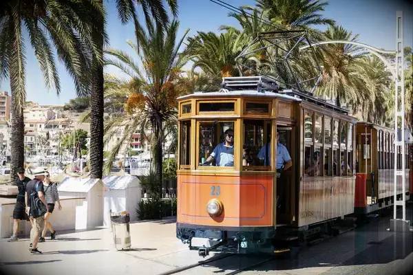 A vintage tram passing through a palm-lined promenade, with people walking nearby in a coastal setting