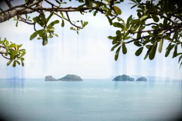 A gulf view with a few islands and overhanging branch