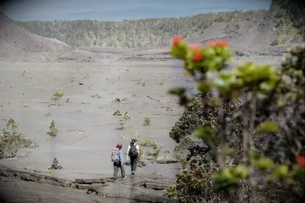 Two people walking on a desolate volcanic landscape surrounded by sparse foliage