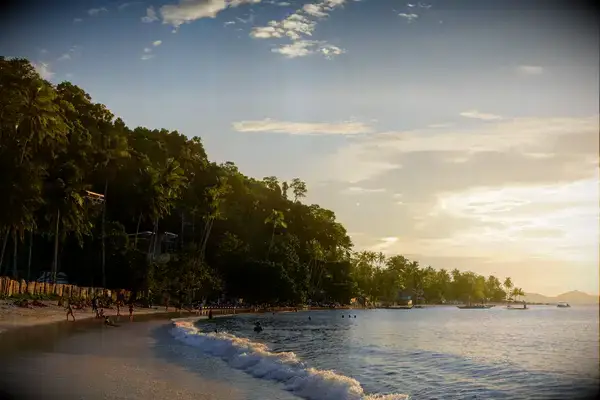 Beach with palm trees and a sunset over the ocean