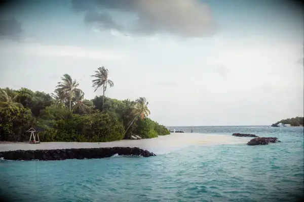 A tropical beach with palm trees, sandy shore, and turquoise water surrounding it, view of the ocean beyond
